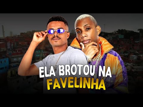 MC LOUKINHO E MC GW - ELA BROTOU NA FAVELINHA ( REMIX BREGAFUNK )