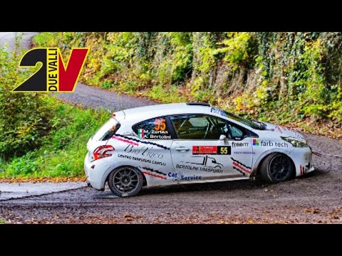 Rally 2 valli 2020 Alex Bertolini - Marco Zortea