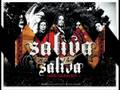 Spit shine - Saliva