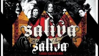 Spit shine - Saliva