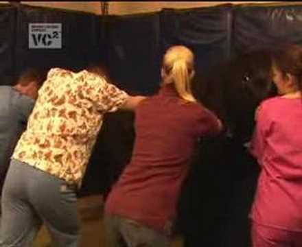 YouTube video about: How much ketamine does a horse need?