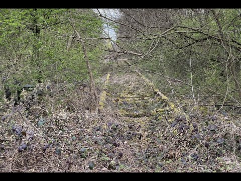 Der vergessene Gleisanschluss von Neuenburg am Rhein