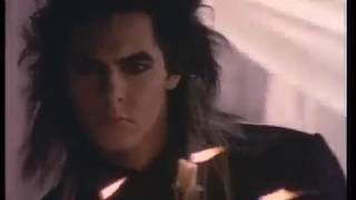 Duran Duran - Arcadia - Election Day - Tradução