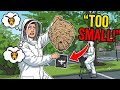 We Tried To Remove A Giant Hornet Nest It Went Horribly Wrong⁠