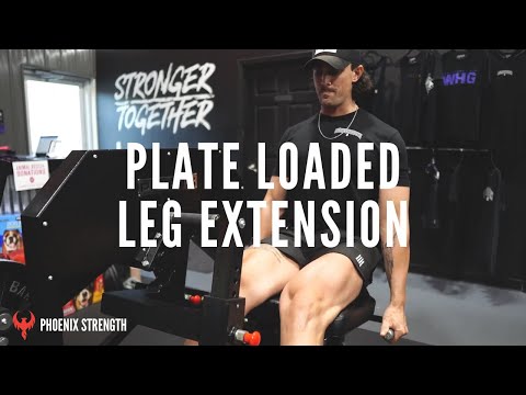 Leg Extension