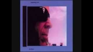 Martin Rev - Shimmer