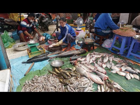 Morning Daily Life Style @Tuol Sangke Market - Market Show Activities of People Buying FOOD