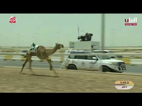 ش 30 (رمحان) لـ راشد محمد بن علي راشد العبار 9:32:55 ، مهرجان ختامي الشحانية 2026/04/22 إيذاع