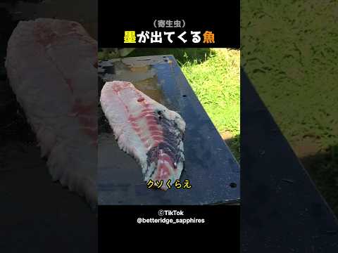 洞窟魚が哺乳類の暗い歴史に光を当てる