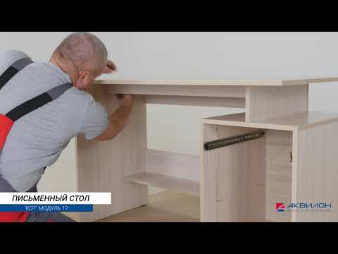 Миниатюра изображения товара Письменный стол Аквилон Кот №17 (туя светлая/белый)