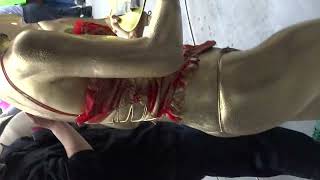 金粉ショー　投げ銭タイムの油断　高円寺びっくり大道芸