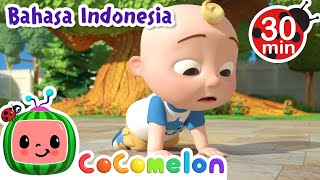 Download lagu Aduh, Aku Jatuh dan Terluka | CoComelon | Kartun Lagu Anak | Moonbug Kids Indonesia | Nursery Rhymes mp3