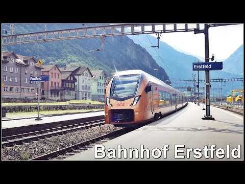 Zugsichtungen beim Bahnhof Erstfeld, Kanton Uri, Schweiz 2021