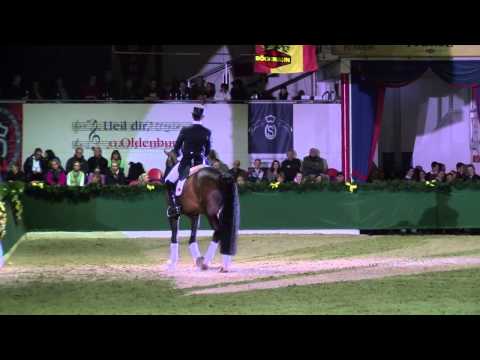 Fidertanz by Fidermark - Ravallo / Stallion Show Vechta 2014 - Böckmann Pferde