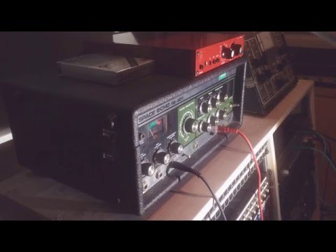 Trumpet with Whammy through Roland Space Echo RE201