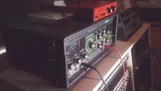 Trumpet with Whammy through Roland Space Echo RE201