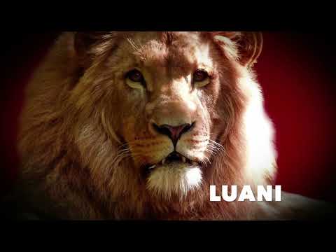 Mësojmë SHQIP | Fjala LUANI | Xixëllonjat TV Këngë Për Fëmijë Nursery Rhymes