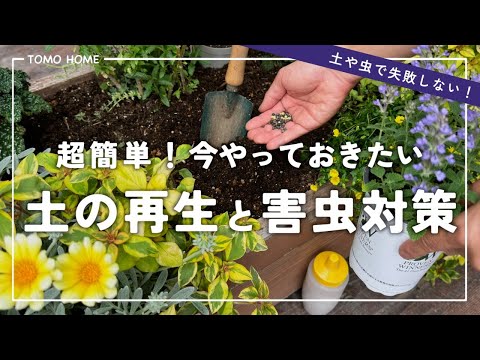 堆肥に赤い虫がいるのは正常ですか?なぜ彼らはタンクから離れるのでしょうか？  庭園