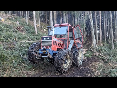 🌲Forstarbeit Extrem 🌲| Bauholz 2024 | Same & Uniforest |