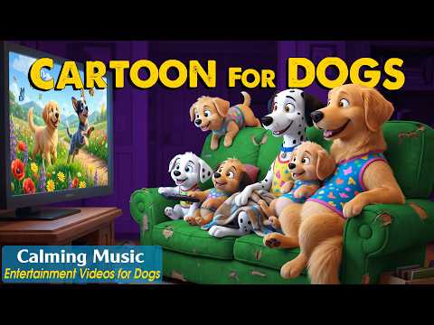 Best Shows For Dogs