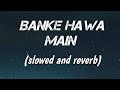 Banke hawa mein [slowed and reverb] | slowed reverb lyrics ~ lofi song.