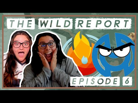 WILL SIMPLICITY TURN IT ALL AROUND? 😱 | The Wild Report