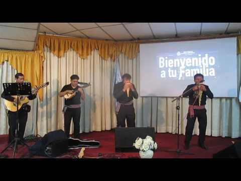 DUNAMISFOLK........ OVEJITA PERDIDA...... tinku