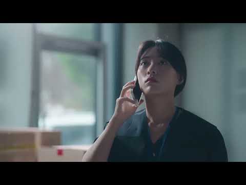 비디오 5