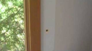 How to patch a very small hole in Drywall Plaster.
