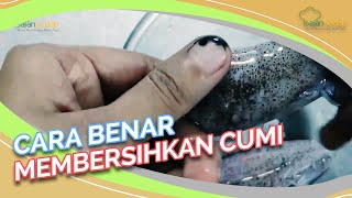 Download lagu Cara Membersihkan Cumi Sampai Bersih Tuntas, Wajib Tahu! mp3