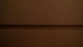 THE TRUE STORY OF WHAT WAS - by Ani DiFranco (Cover)