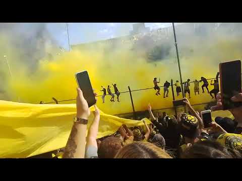 "Recibimiento de Peñarol vs La Gallina del Uruguay " Barra: Barra Amsterdam • Club: Peñarol • País: Uruguay