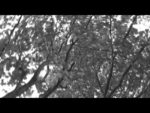 The Album Leaf - twenty two fourteen - Ryser DFC Video 2010