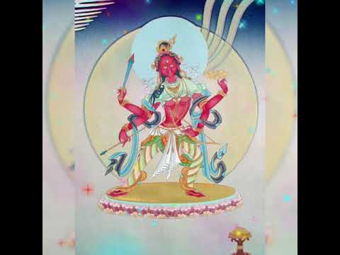 21 TARA - CHANTED BY VENERABLE NUNS IN WHITE GUMPA - NEPAL ( 21 Lục Độ Phật Mẫu)