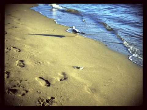 Video thumbnail for En La Playa
