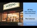 The Cataracs - All You (Feat  Waka Flocka Flame & Kaskade)