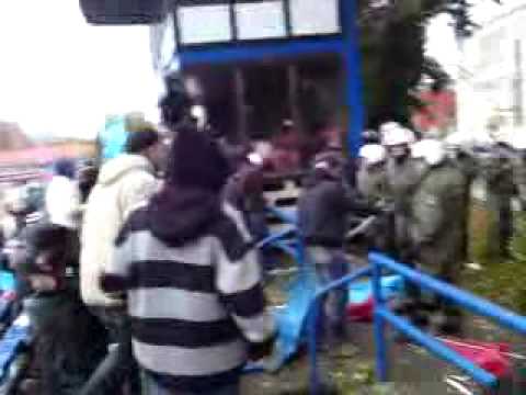 pommern stralsund VS. : anklam  1.11.2008  (3)