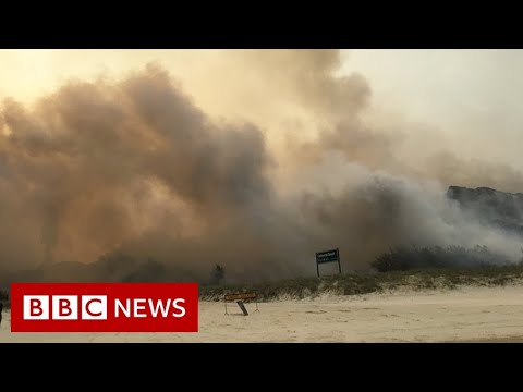 澳洲叢林大火。弗雷澤島居民被要求立即離開 - BBC News (Australia bushfire: Fraser Island residents told to leave immediately - BBC News)