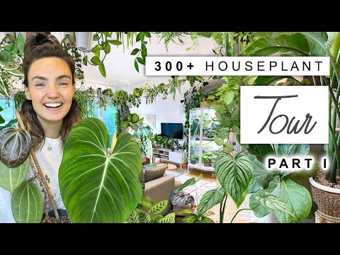 300+ Houseplant Tour 🌿 2023 Plant Collection Home Tour (Rare and Common) 🌱 PART 1
