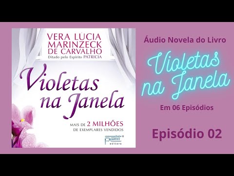EP 02 de 06 | VIOLETAS NA JANELA áudio novela