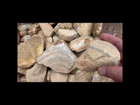 匍匐性のロックガーデンの植物: カラフルなロックガーデン用の見事な花を咲かせる常緑の多年草10本  庭園