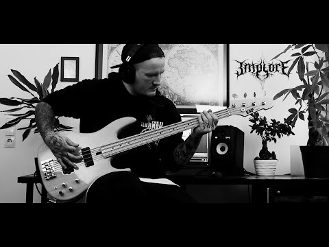implore - patterns to follow [bass cover]