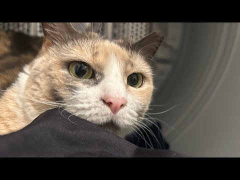 Eggletsky and @GamerBlake-xy7gu  memorializer