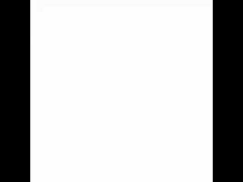 Adp Codroipese la festa di inizio Campionato 2018 2019 del Basket a Codroipo