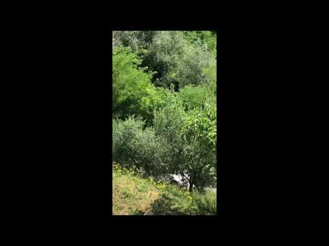 36° Rally Della Marca 2019 - P.S. Arfanta