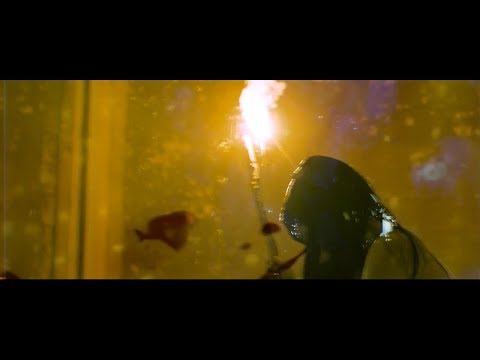 Video thumbnail for Arrival