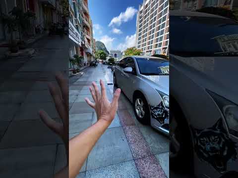 Let’s take a look at a strange man in Shanghai who modified his car and raised a local dog. Othe