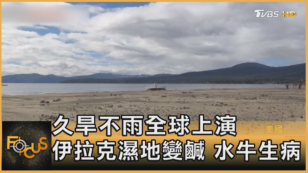 久旱不雨全球上演 伊拉克濕地變鹹.水牛生病