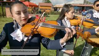 Video de Mariachi Estrellas De México