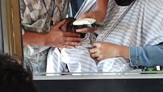 Download lagu Deg-degan banget anak mau di cukur rambut buat pertama kalinya 😆😆😆 mp3